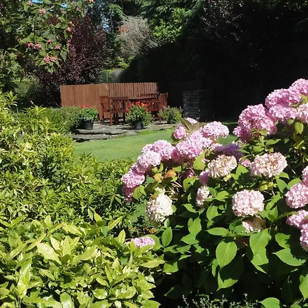 Millhouse 4* Ballymote